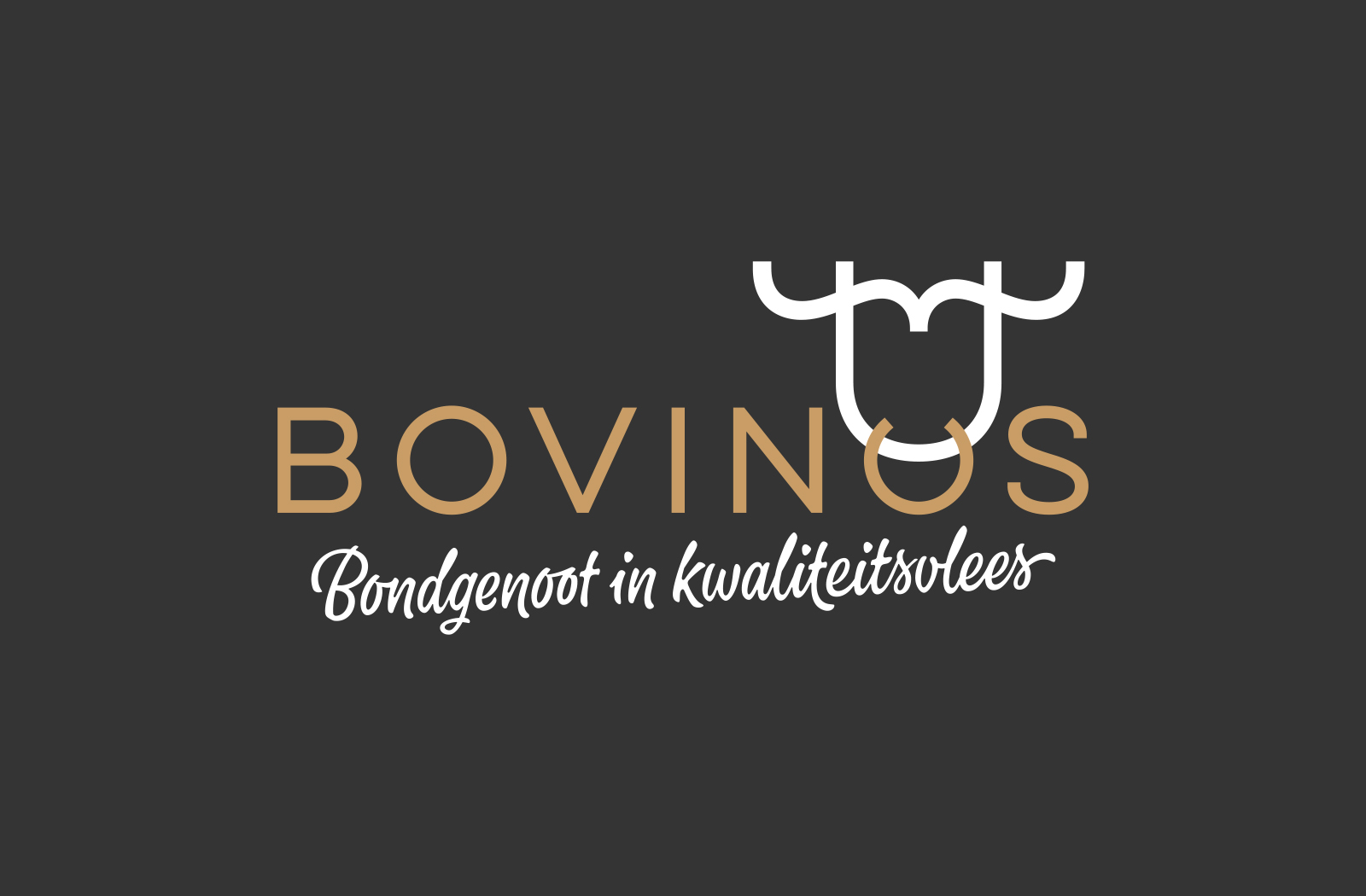 https://brandmatters.nl/app/uploads/2026/03/Collage_02_Bovinos_1600x1050.jpg